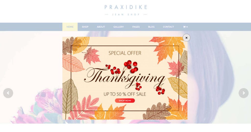 digital marketing automation thanksgiving popup