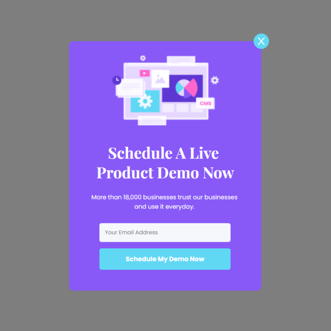 Schedule Product Demo